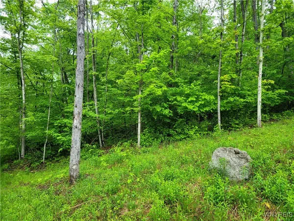 $48,000 | 0 County Road 24, Swain, NY 14884