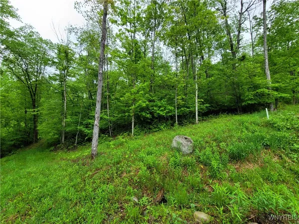 $48,000 | 0 County Road 24, Swain, NY 14884
