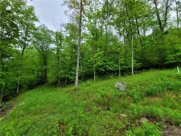 $48,000 | 0 County Road 24, Swain, NY 14884