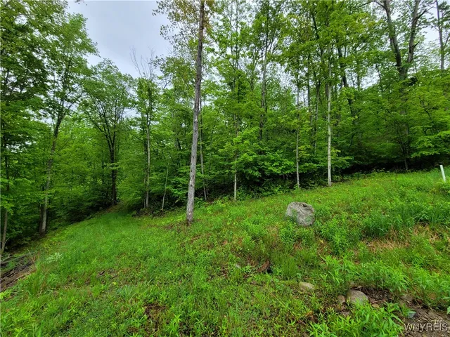 $48,000 | 0 County Road 24, Swain, NY 14884