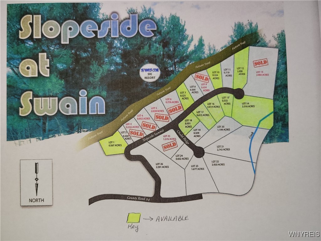 0 County Road 24 Swain, NY 14884 - Photo 4 of 4