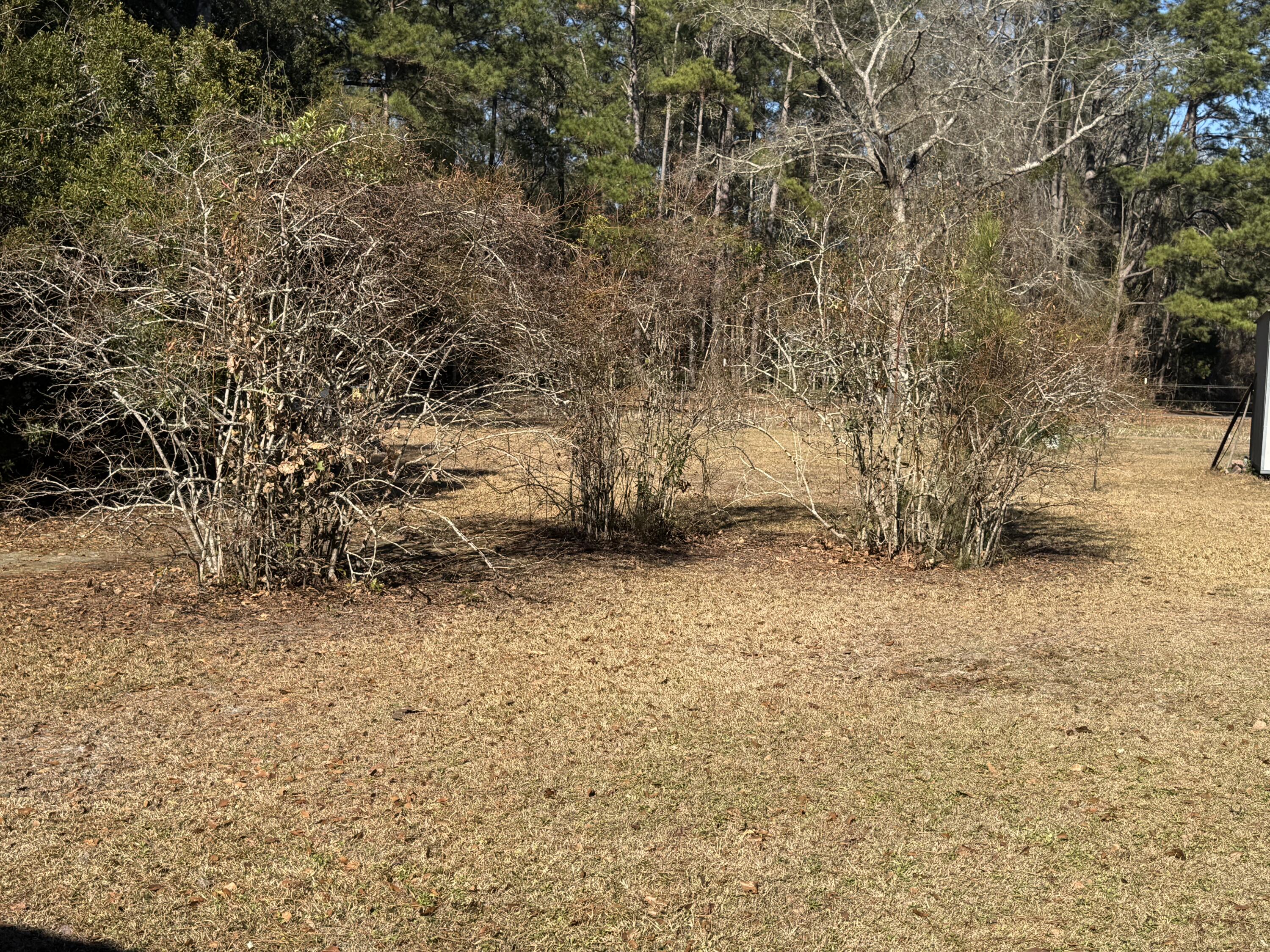 1002 Poplar Street Walterboro, SC 29488 - Photo 11 of 29 IMG_3466