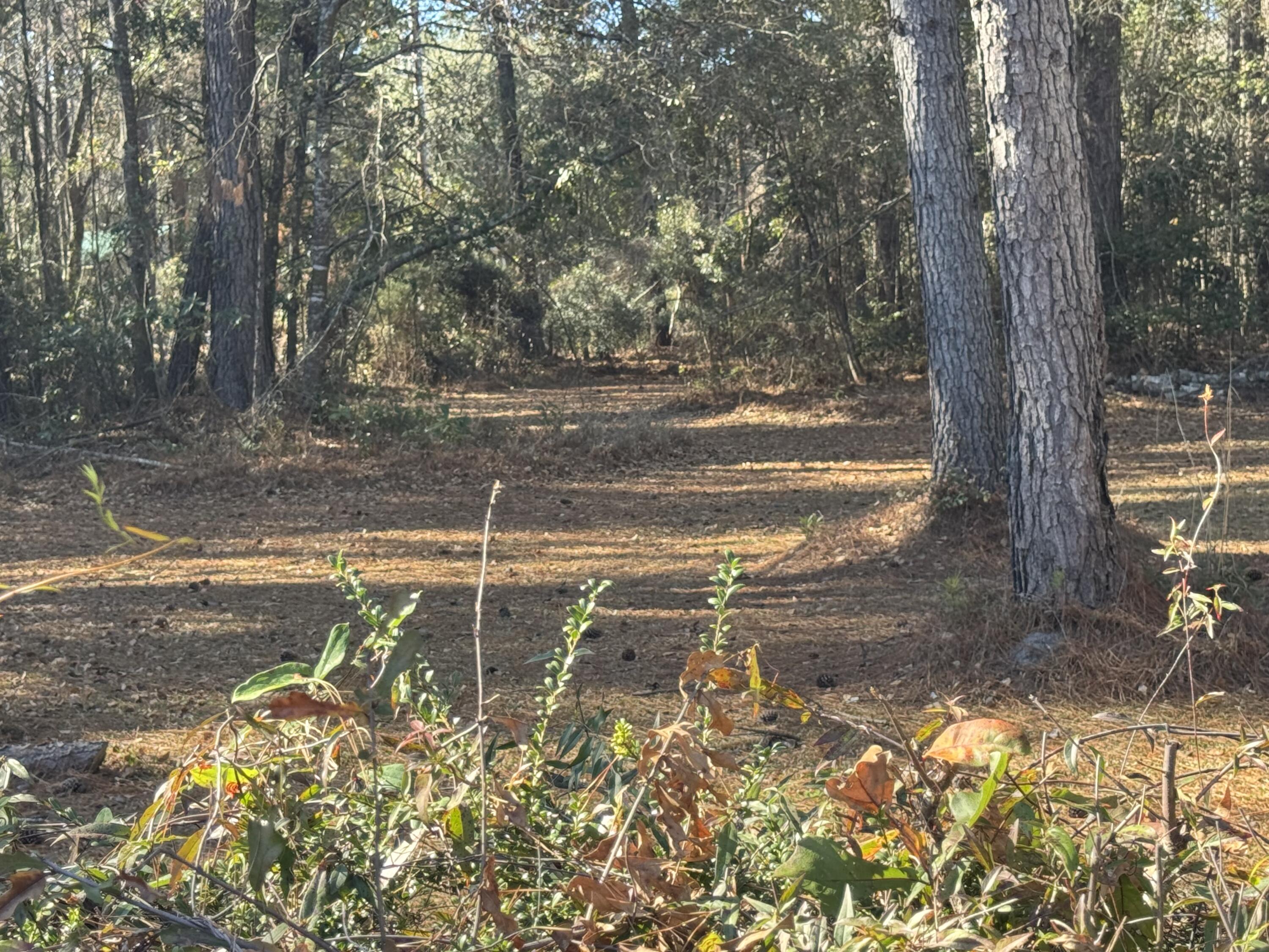 1002 Poplar Street Walterboro, SC 29488 - Photo 2 of 29 IMG_3461