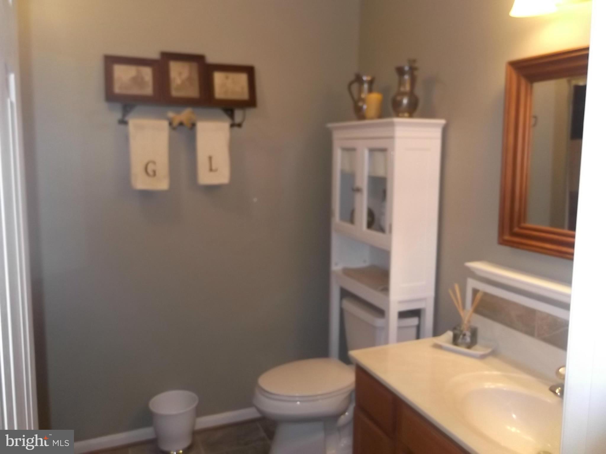 5392 Waterford Road Rixeyville, VA 22737 - Photo 13 of 30 Bath