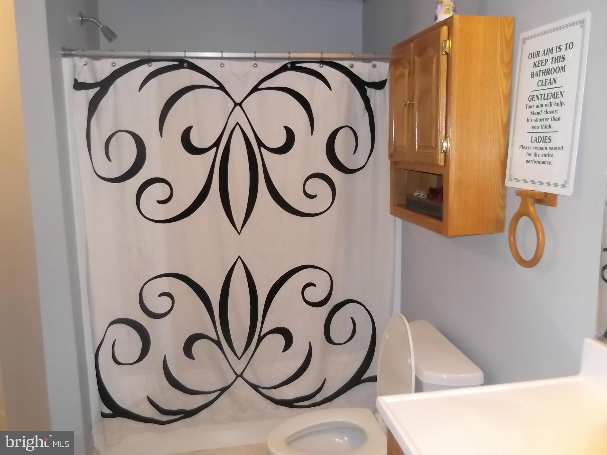 5392 Waterford Road Rixeyville, VA 22737 - Photo 19 of 30 Bath