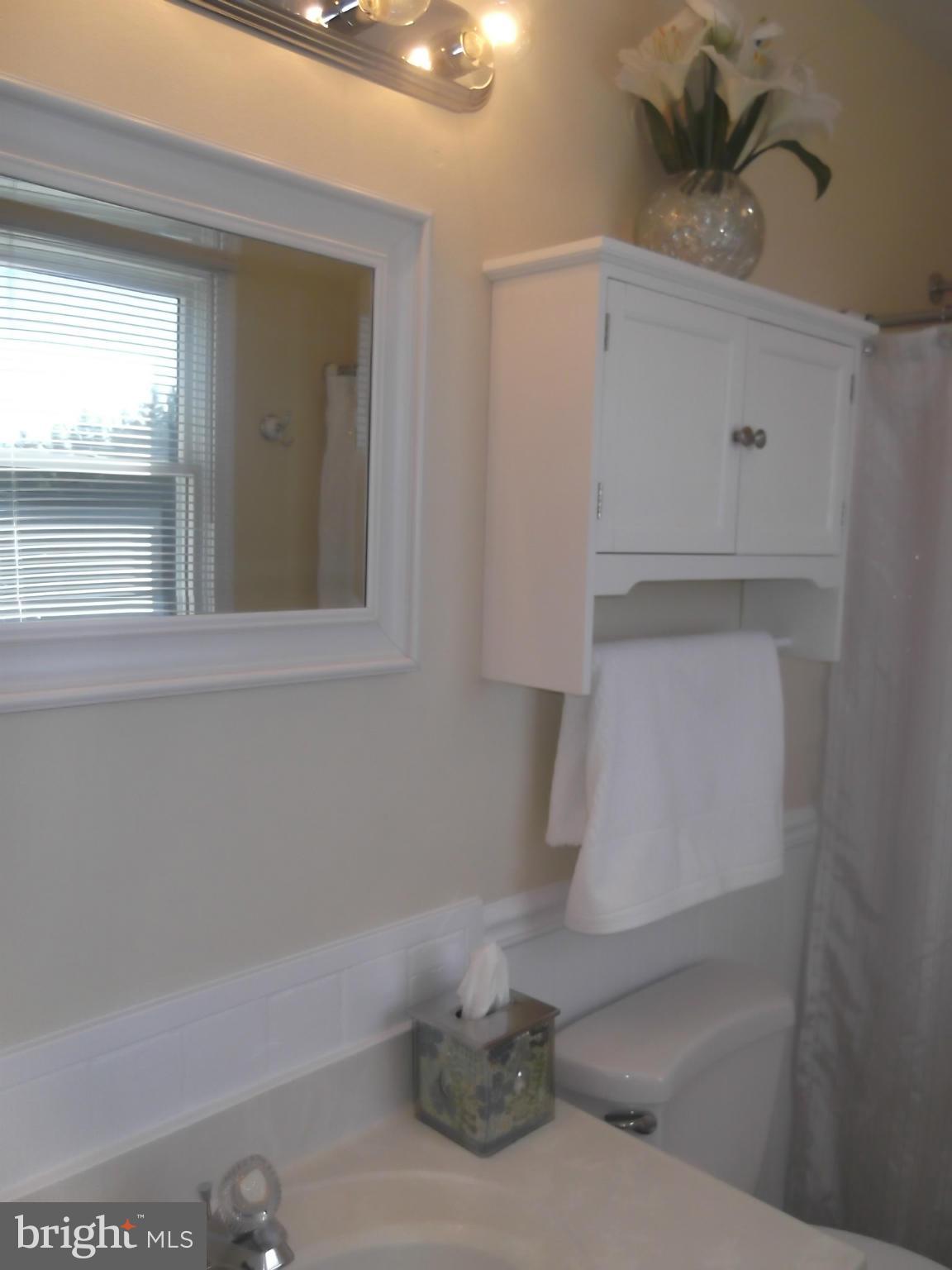 5392 Waterford Road Rixeyville, VA 22737 - Photo 10 of 30 Bath (Master)