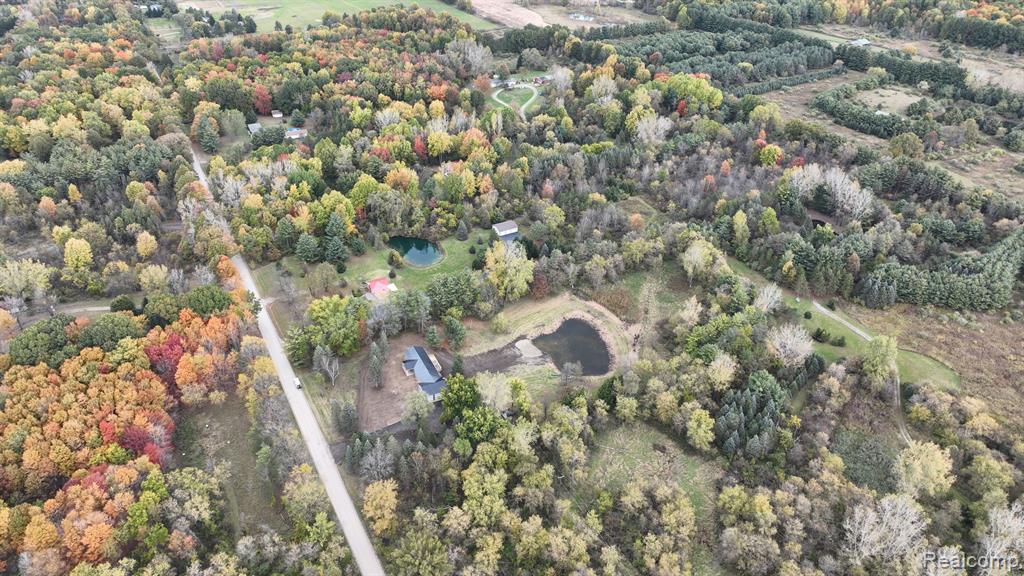 4393 South Lake George Road Dryden, MI 48428 - Photo 35 of 36