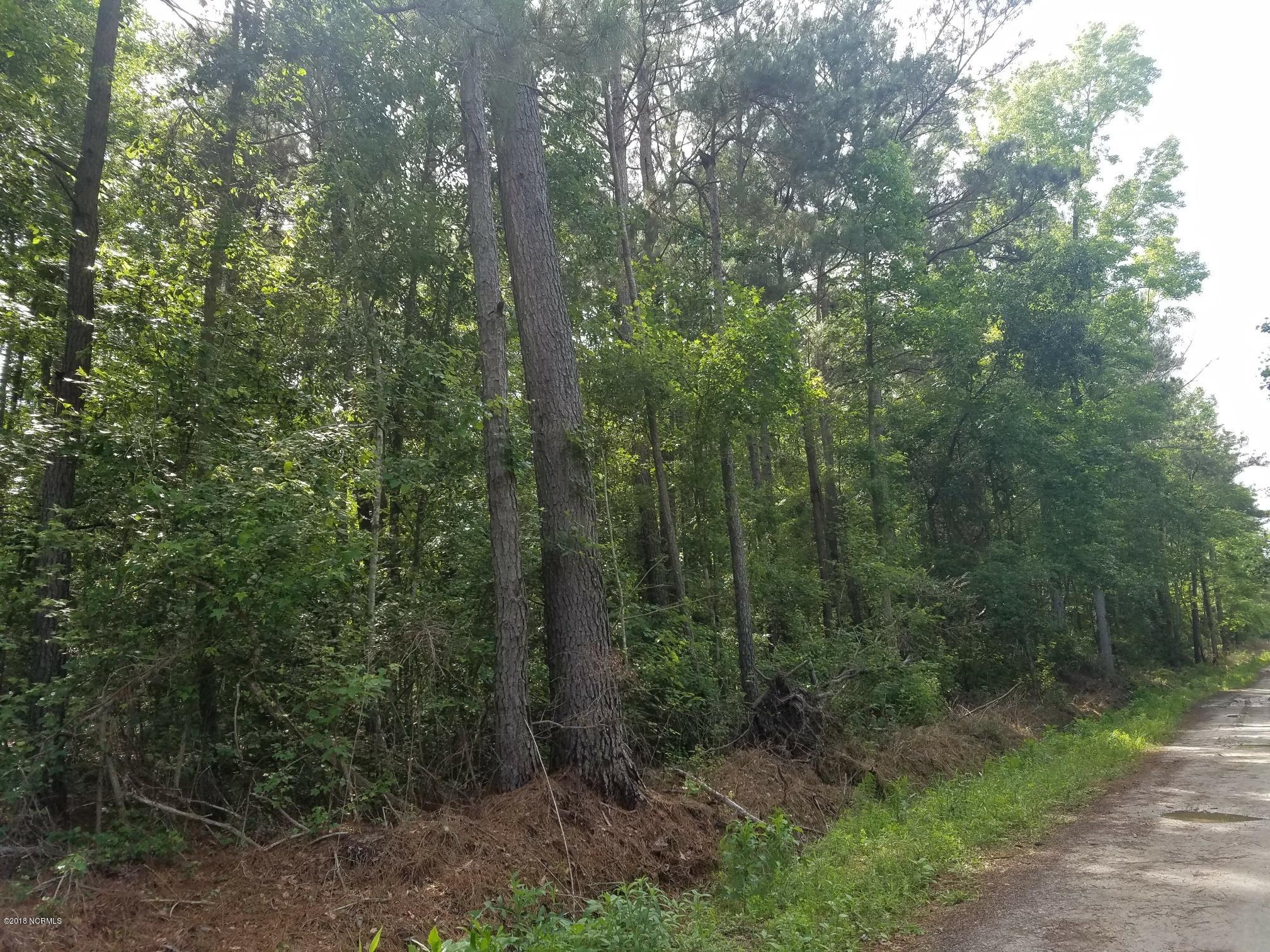 194 Farmers Union Road Clarkton, NC 28433 - Photo 23 of 26 20180529_164752_001_resized