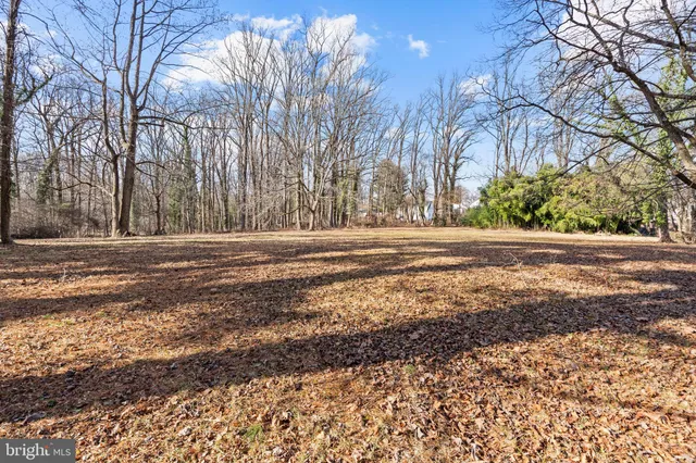 a view of a yard with trees