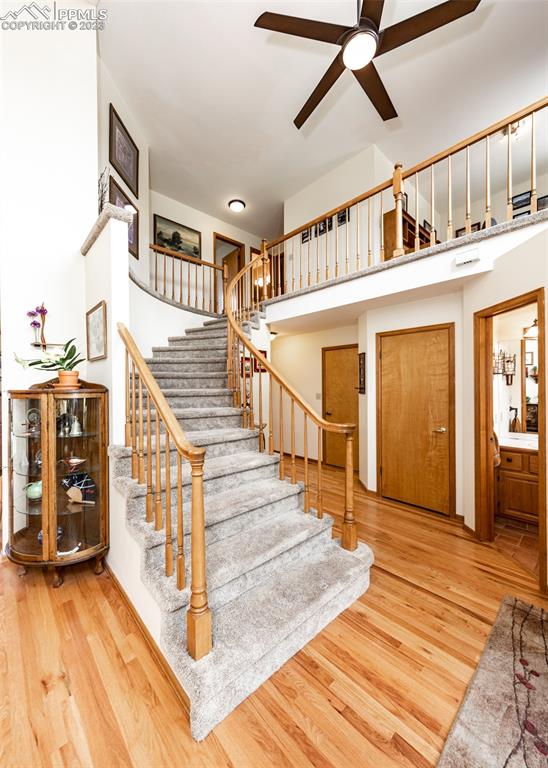 2145 Wickes Road Colorado Springs, CO 80919 - Photo 23 of 50 a view of entryway and hall with wooden floor