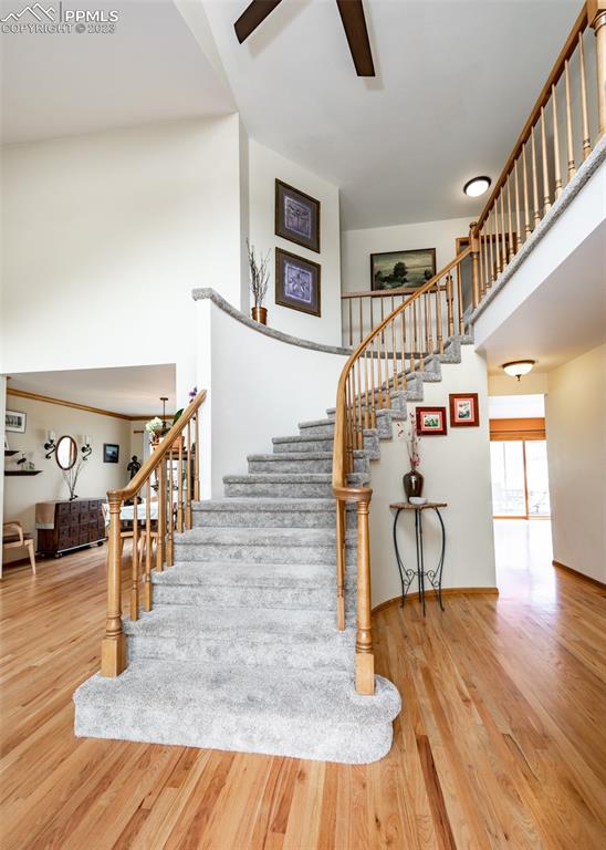 2145 Wickes Road Colorado Springs, CO 80919 - Photo 5 of 50 a view of entryway dining room and hall with wooden floor