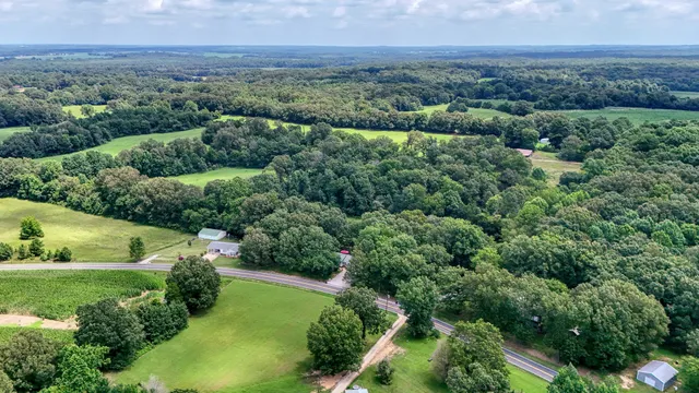 an aerial view of green landscape with trees houses and mountain view