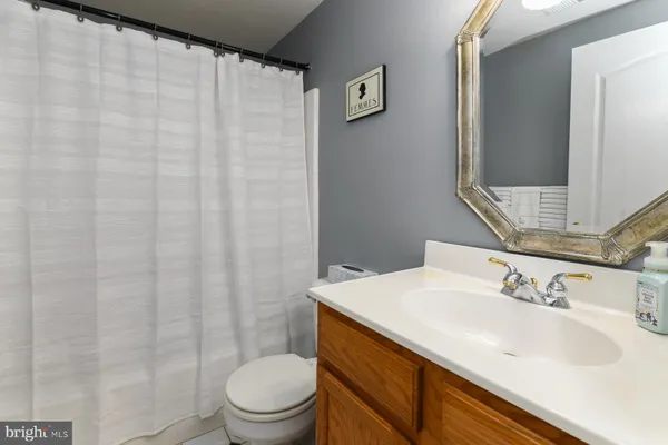 a bathroom with a sink a toilet and shower curtain