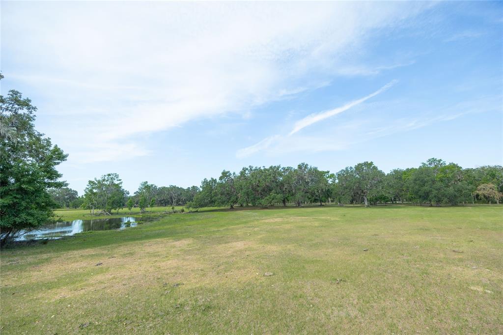 772b Webster Webster, FL 33597 - Photo 7 of 44
