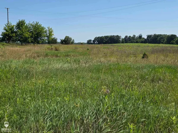 $42,500 | Garrison Road, Laingsburg, MI 48848