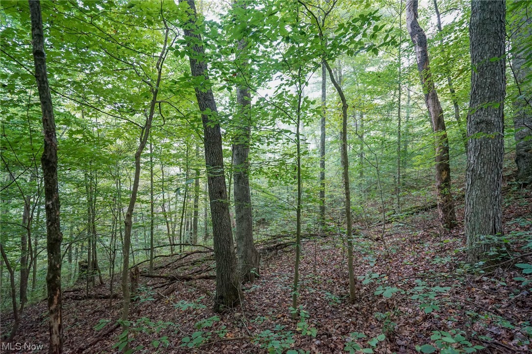 0 Reed Marietta, OH 45750 - Photo 2 of 35 View of mother earth's splendor