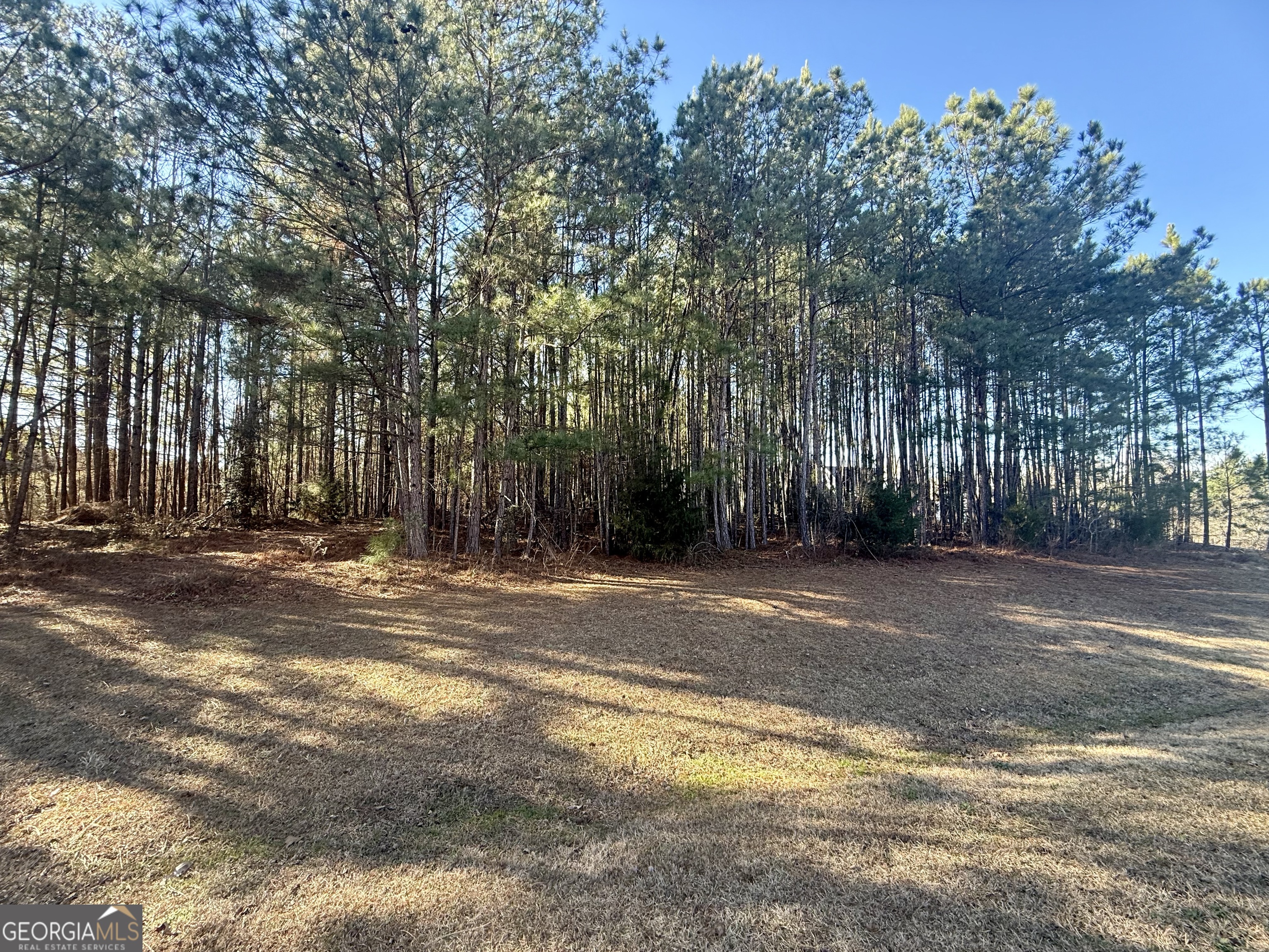 303 Freedom Drive Forsyth, GA 31029 - Photo 2 of 10