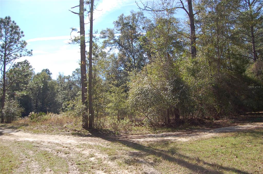 Tdb Southwest 29th Place Ocala, FL 34481 - Photo 3 of 6 a view of a yard with trees