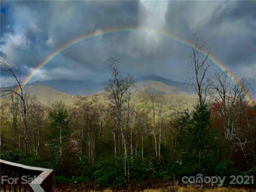 263 Mount Mitchell Drive Burnsville, NC 28714 - Photo 33 of 39 a view of a garden