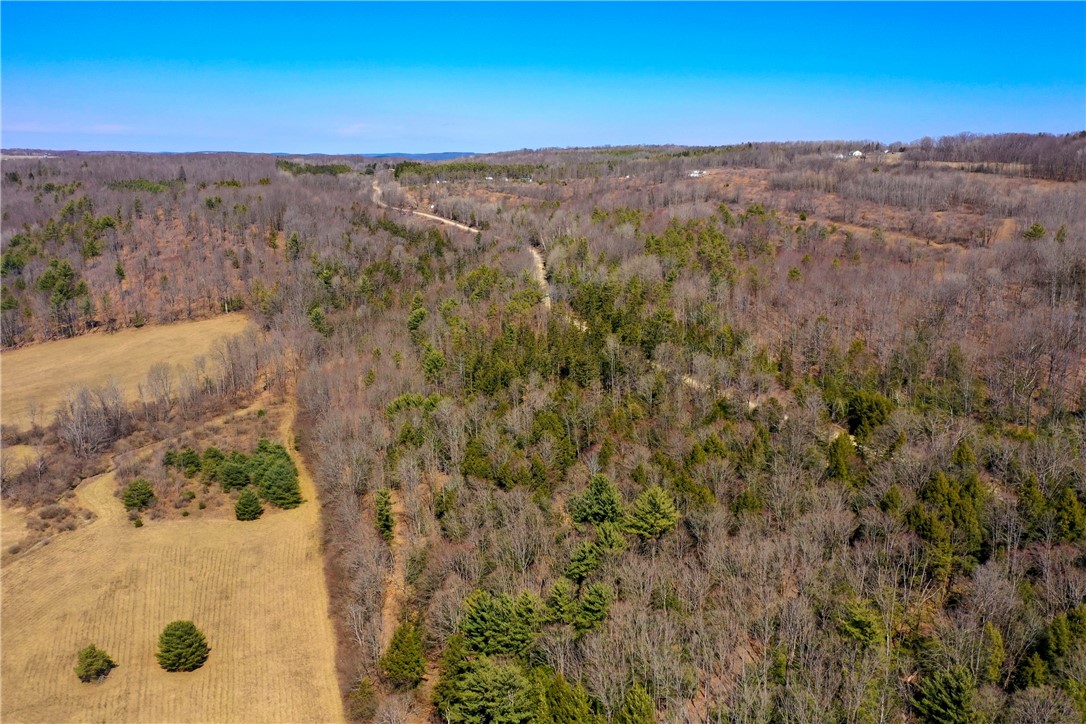 4788 Starr Road Thurston, NY 14821 - Photo 11 of 16