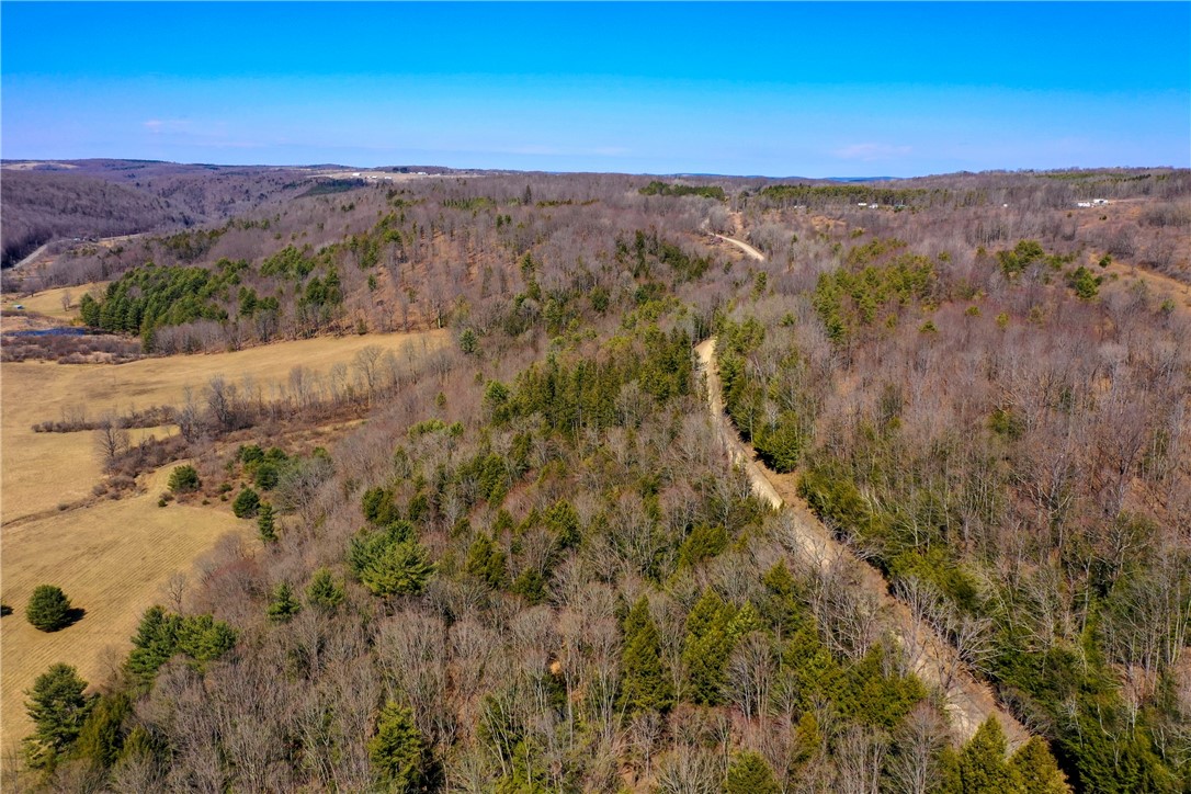 4788 Starr Road Thurston, NY 14821 - Photo 12 of 16