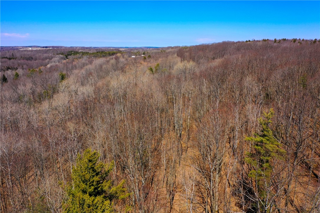 4788 Starr Road Thurston, NY 14821 - Photo 14 of 16