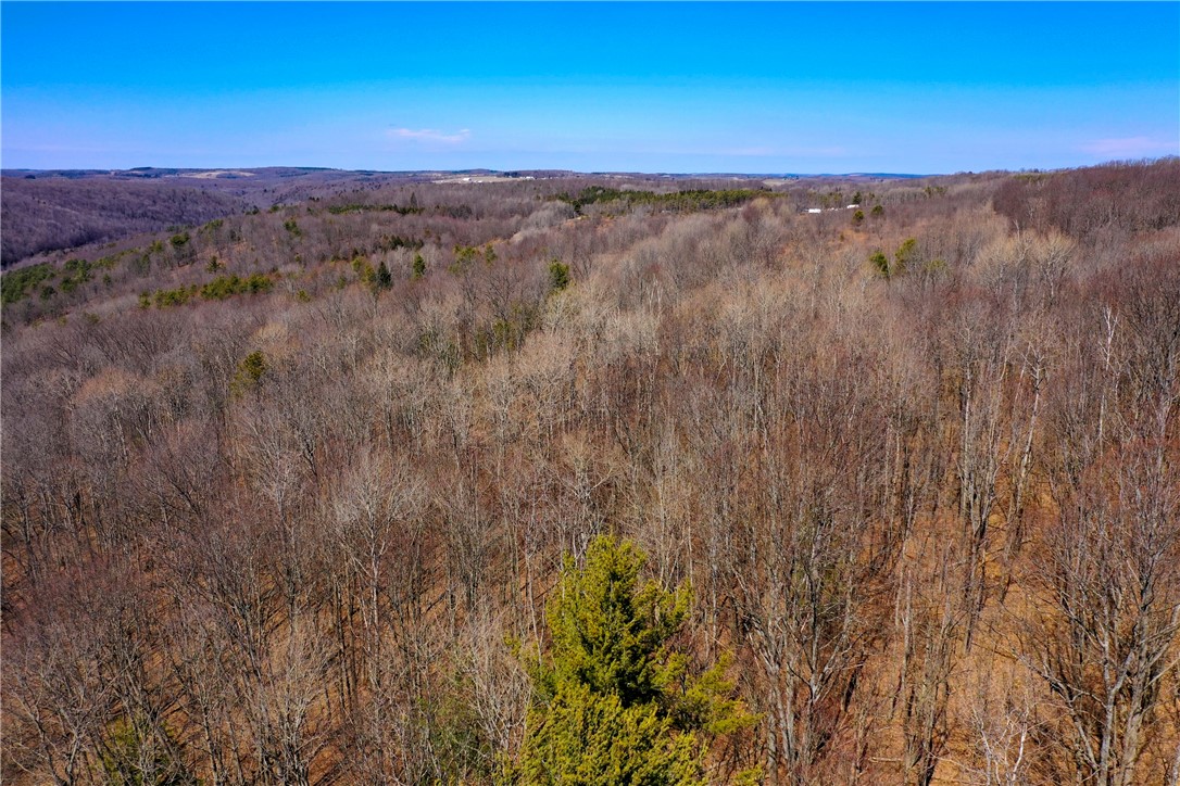 4788 Starr Road Thurston, NY 14821 - Photo 15 of 16