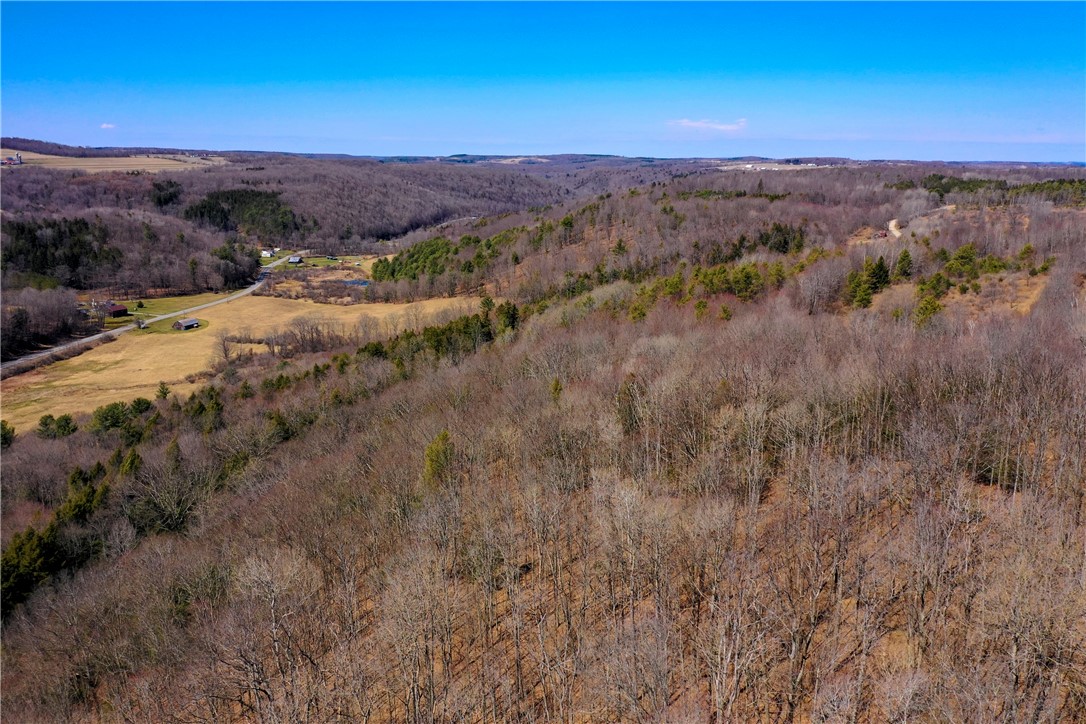 4788 Starr Road Thurston, NY 14821 - Photo 16 of 16