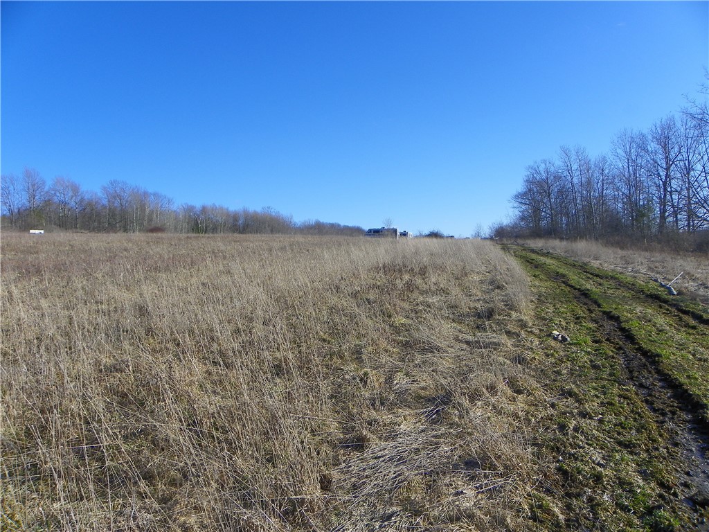 4788 Starr Road Thurston, NY 14821 - Photo 2 of 16