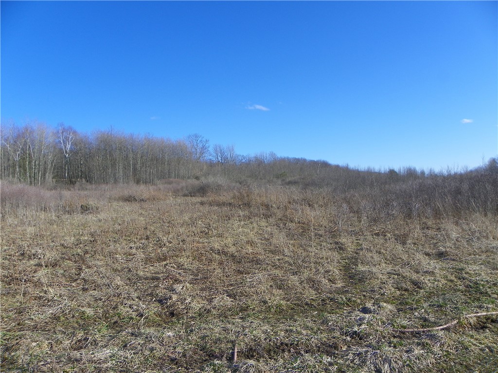 4788 Starr Road Thurston, NY 14821 - Photo 3 of 16