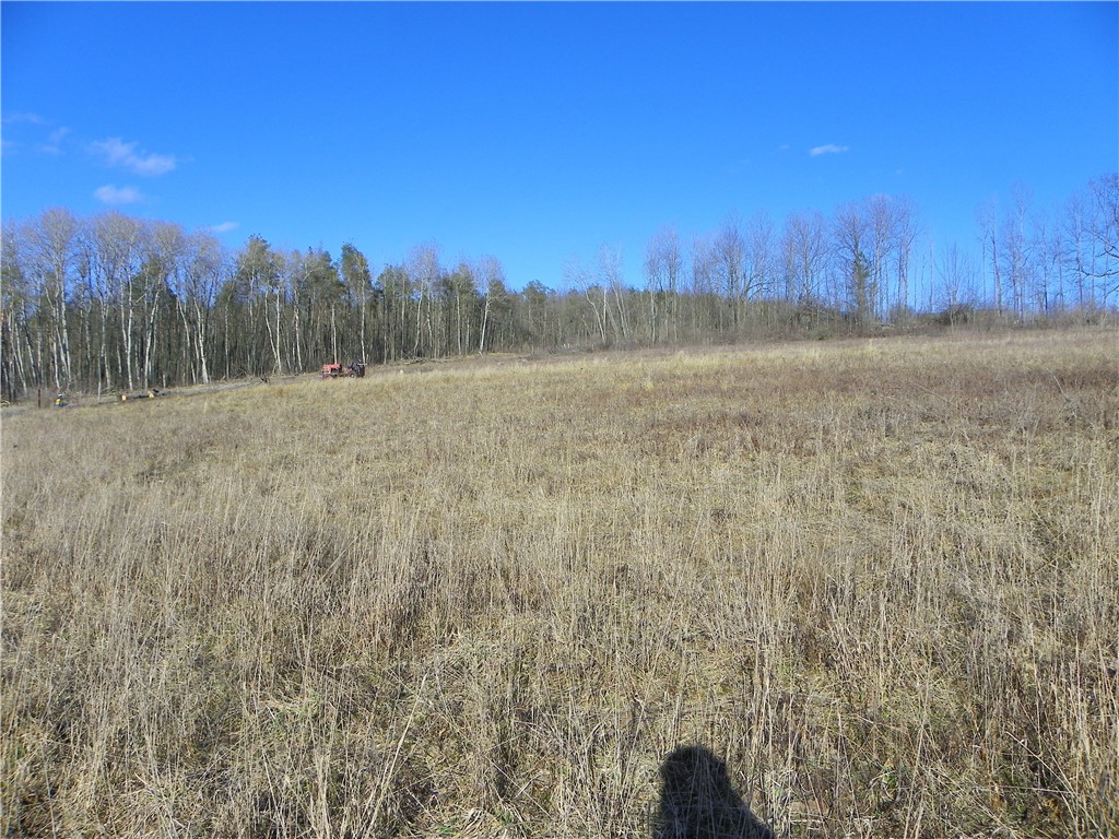 4788 Starr Road Thurston, NY 14821 - Photo 4 of 16