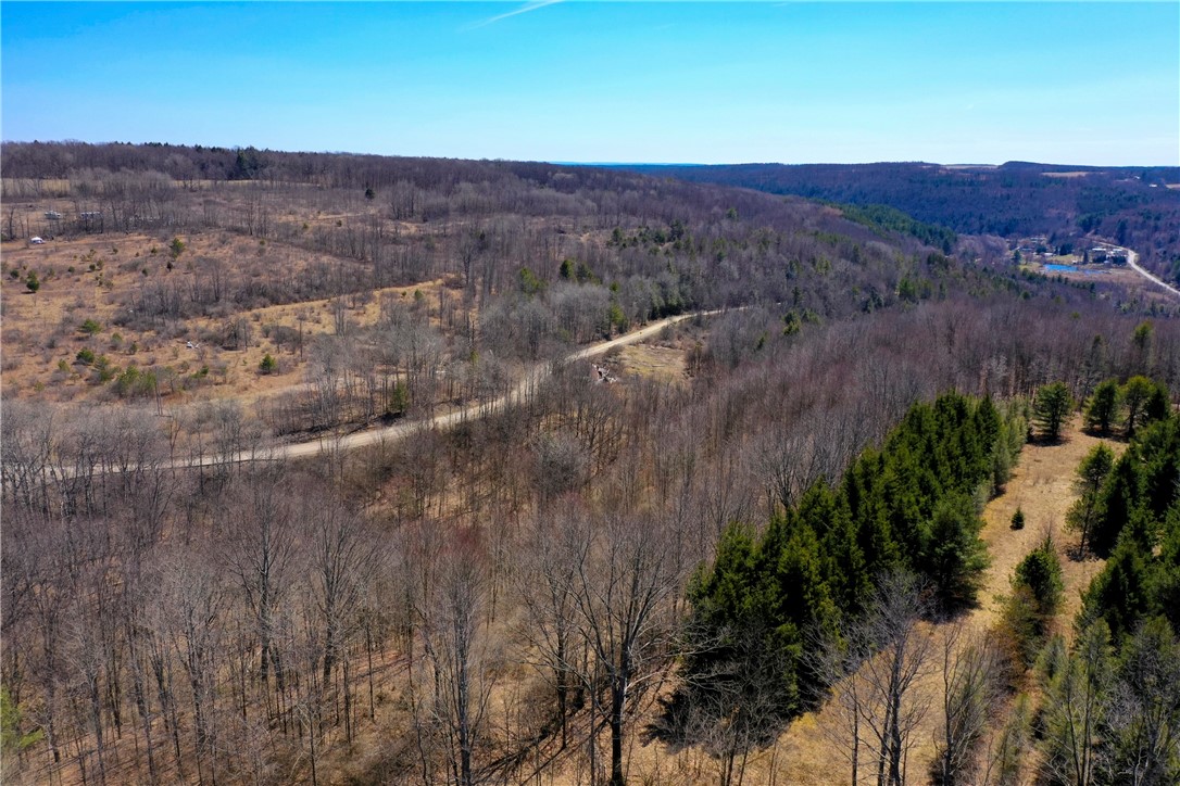 4788 Starr Road Thurston, NY 14821 - Photo 6 of 16