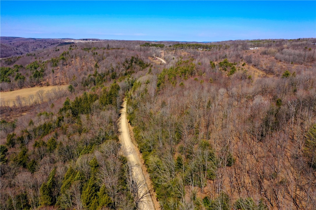 4788 Starr Road Thurston, NY 14821 - Photo 9 of 16