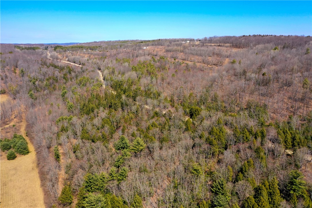 4788 Starr Road Thurston, NY 14821 - Photo 10 of 16