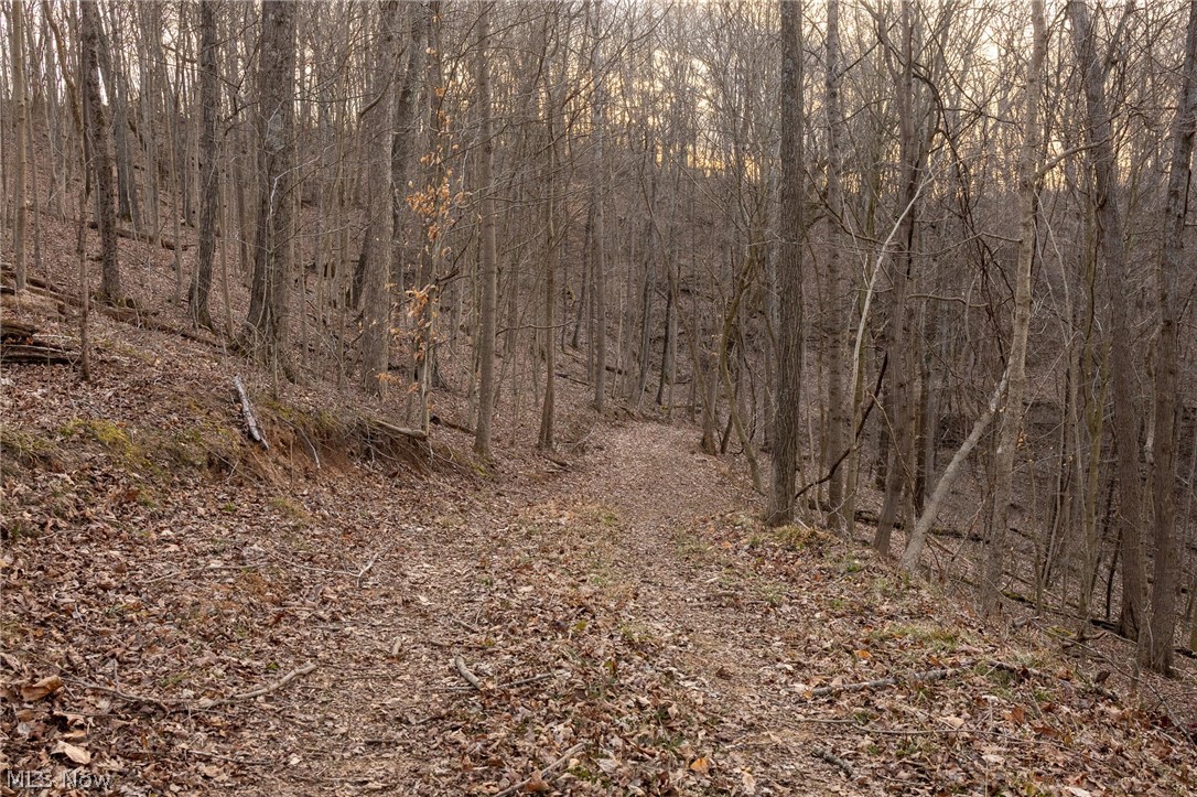 32290 Bailey Run Road Pomeroy, OH 45769 - Photo 25 of 41