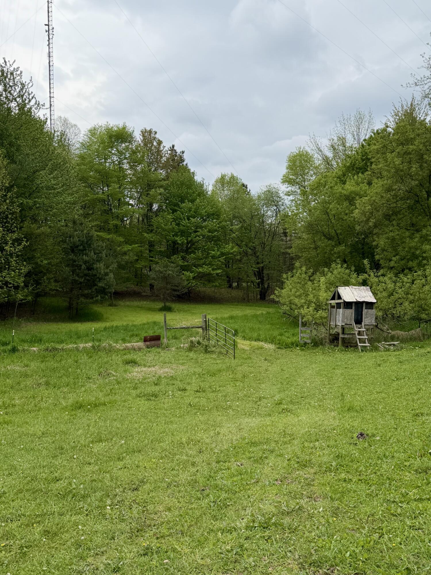 9435 East Garfield Road Hesperia, MI 49421 - Photo 29 of 36 IMG_0477