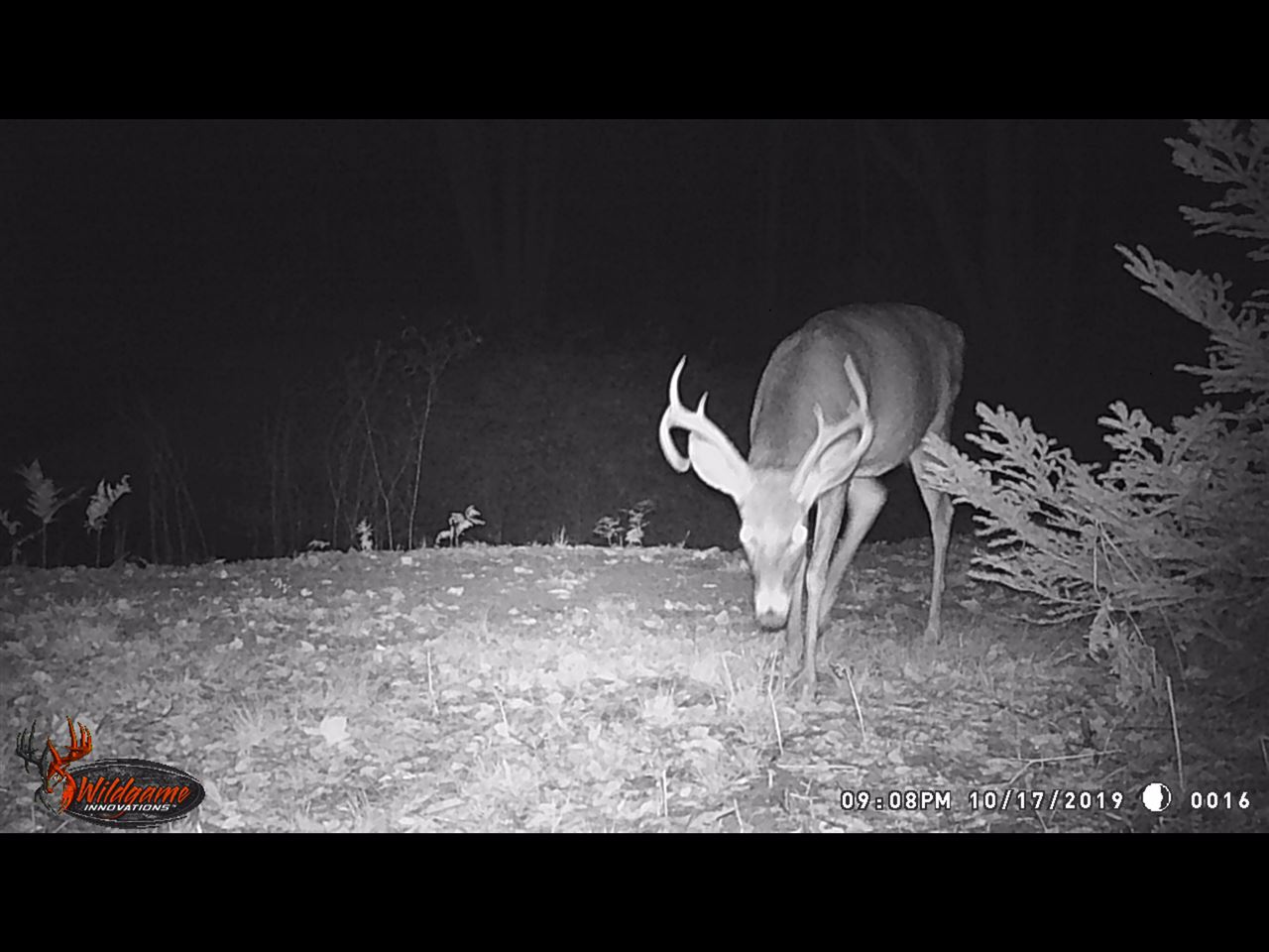 4364 East 8 Road Manton, MI 49663 - Photo 10 of 26 1869477-9.JPG