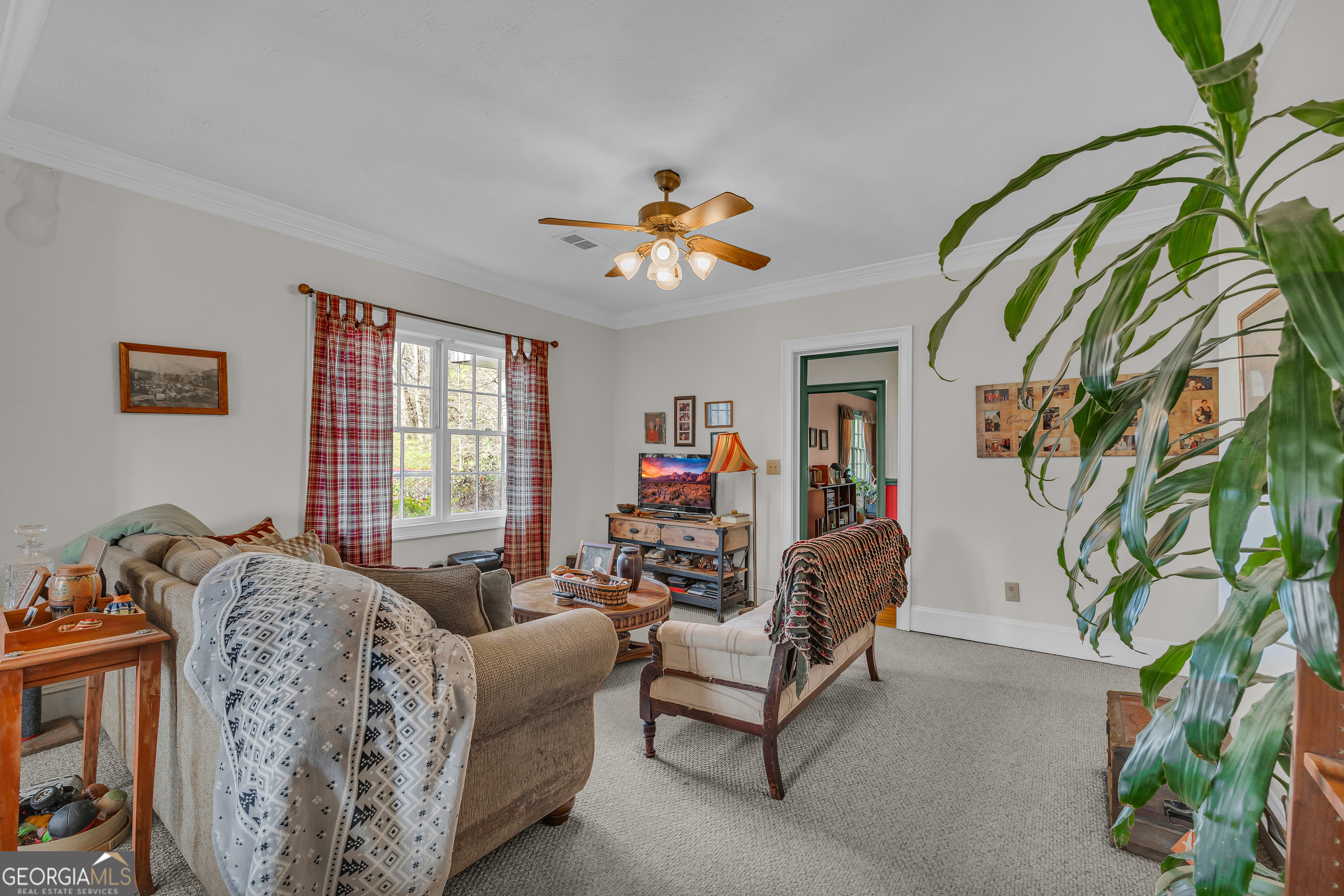 1640 Wire Bridge Road Watkinsville, GA 30677 - Photo 9 of 74 a living room with furniture and a potted plant