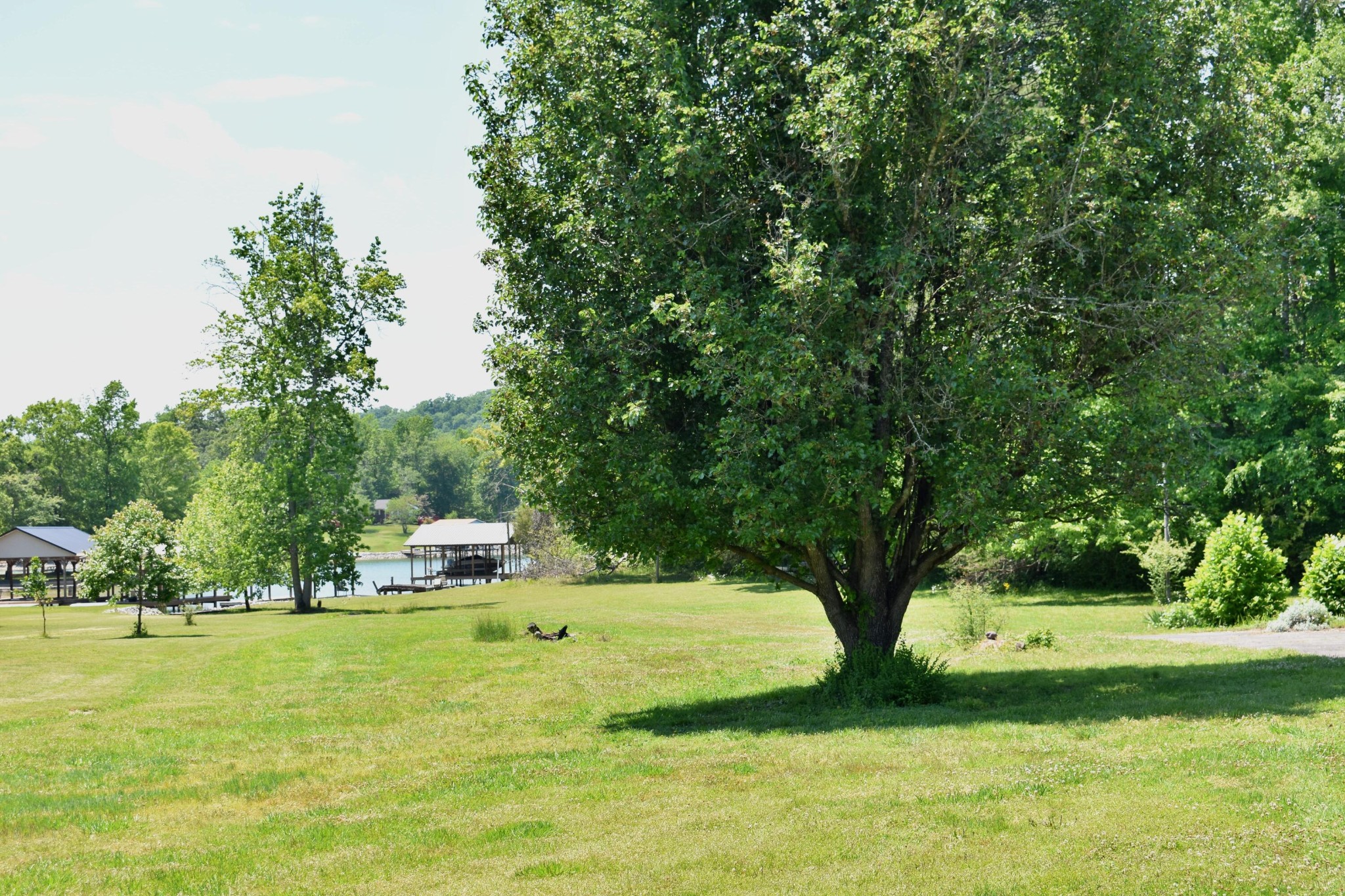 3442 River Road Ten Mile, TN 37880 - Photo 49 of 73