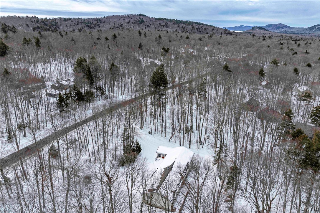 65 Uncas Road Inlet, NY 13360 - Photo 7 of 40