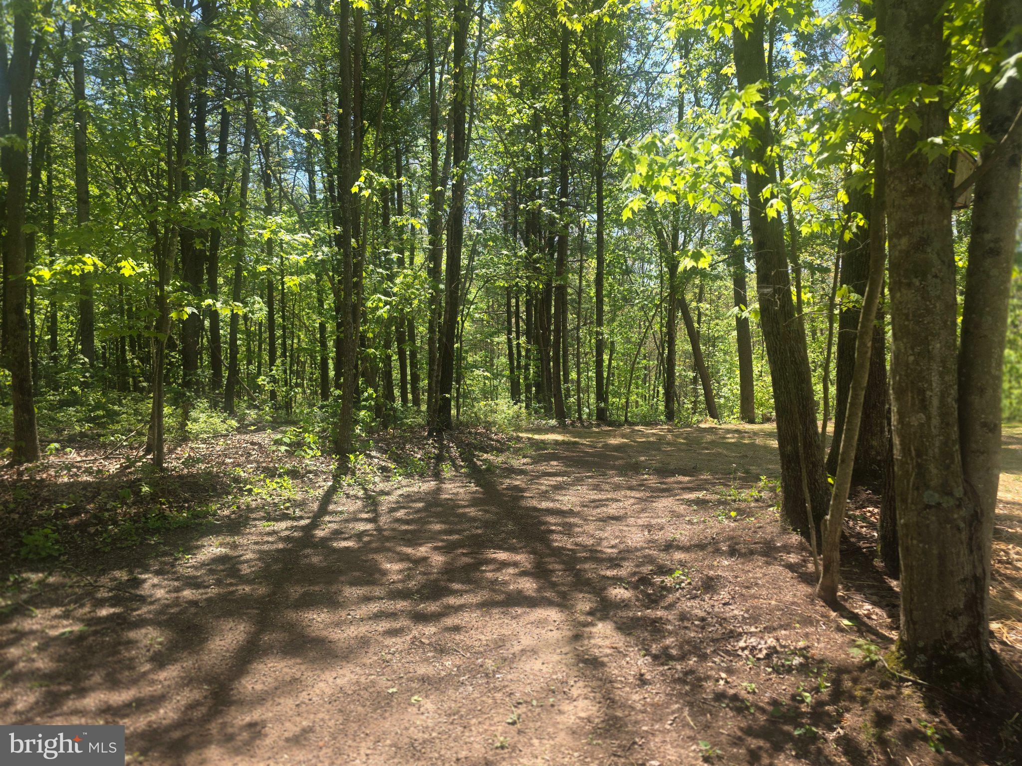 357 Gunsmoke Road Warfordsburg, PA 17267 - Photo 23 of 23 Sunlit path through lush greenery.