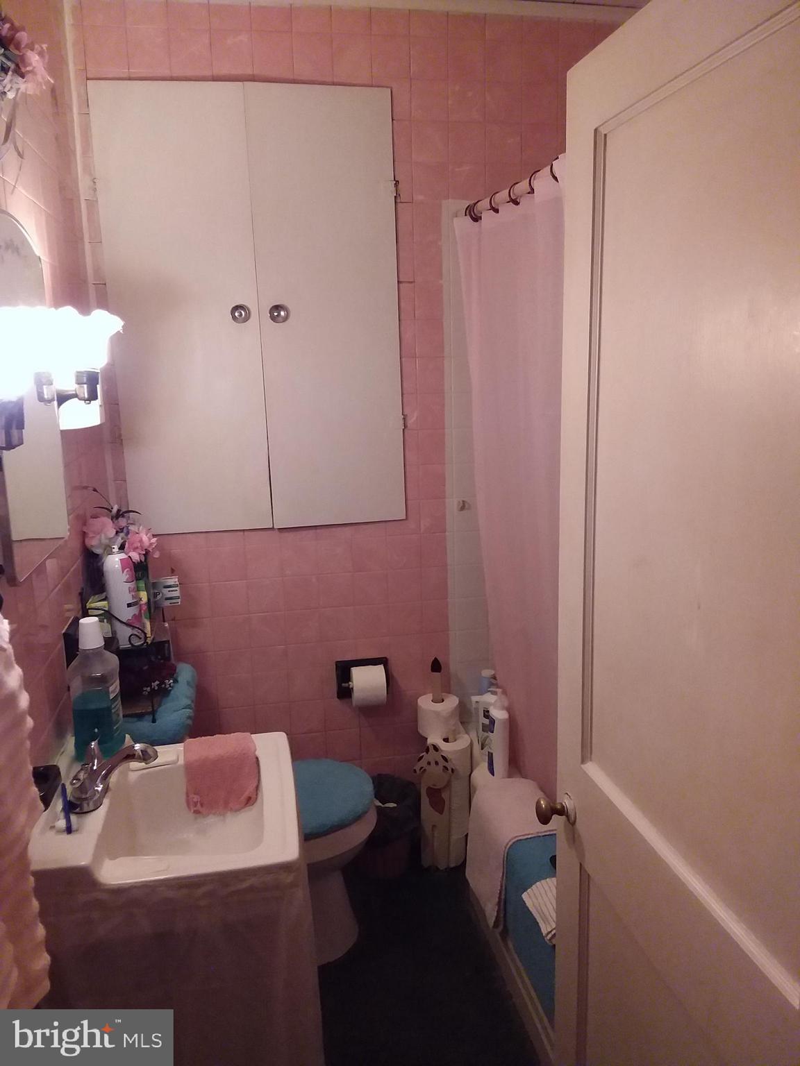 156 West Cohawkin Road Clarksboro, NJ 08020 - Photo 9 of 11 Bathroom