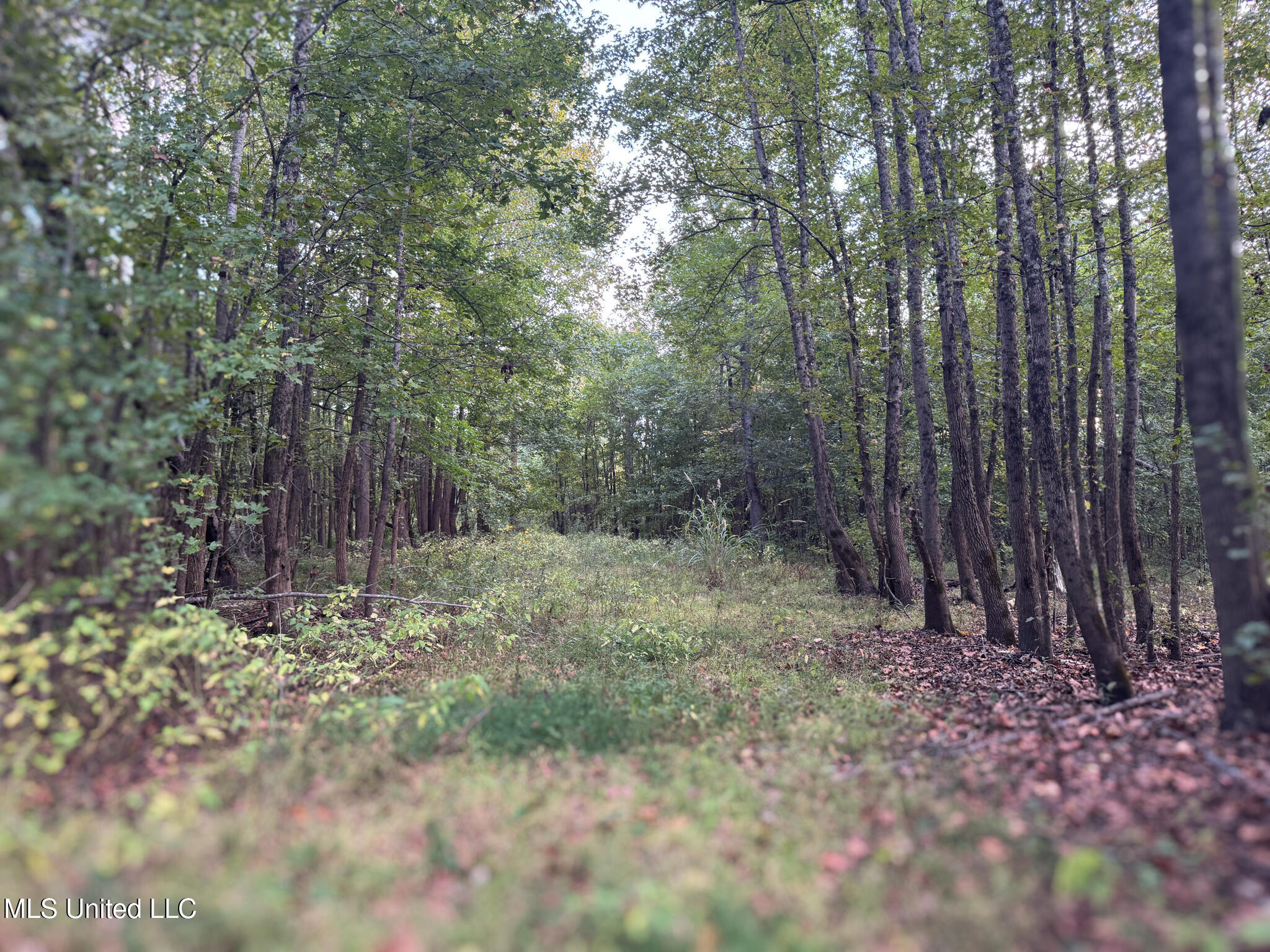 Davis Lane Hernando, MS 38632 - Photo 5 of 43 MLS-DeSoto 329 Prewett (Thompson) -03