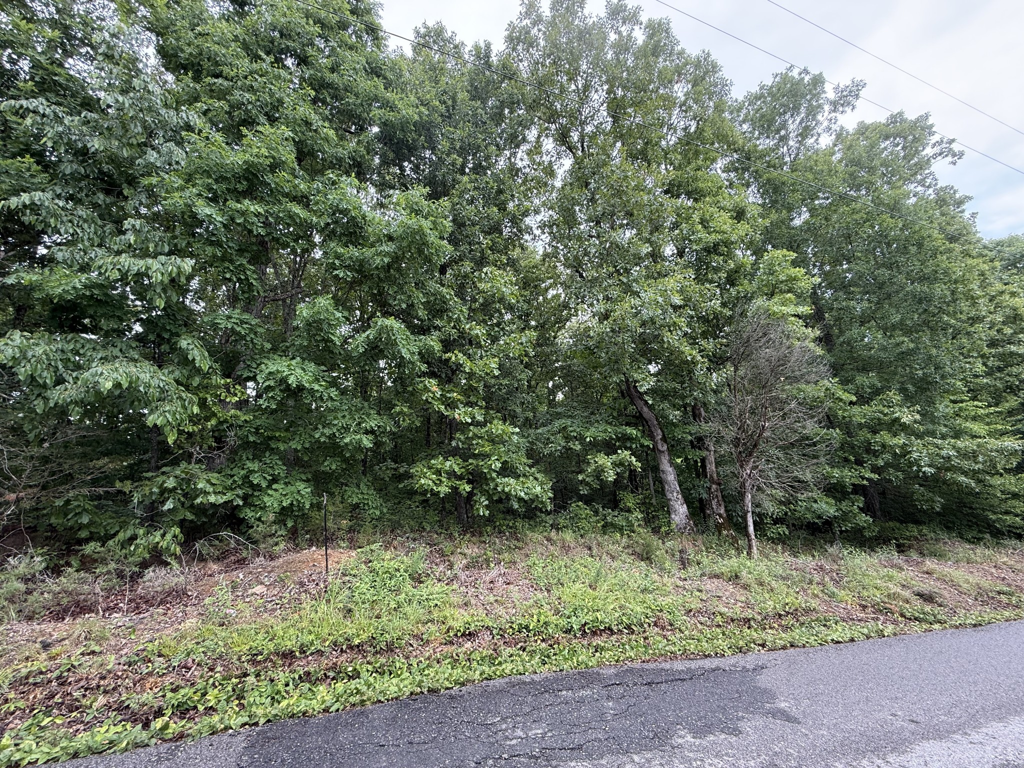 2 Anglin Ridge Road Dover, TN 37058 - Photo 2 of 3