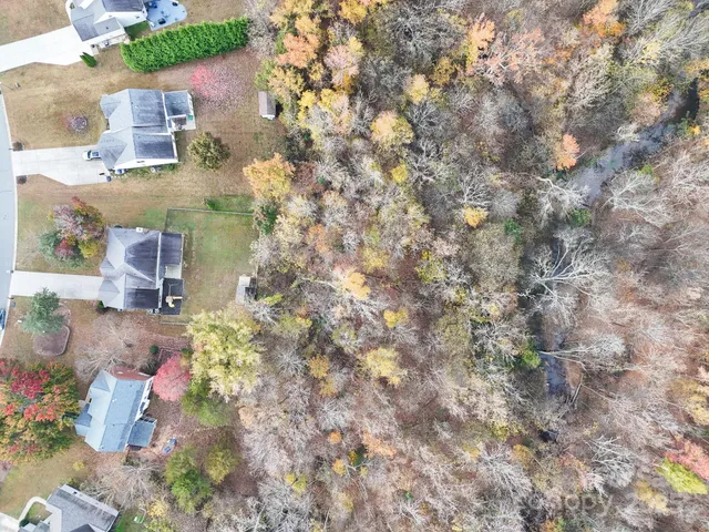 a picture of flowers