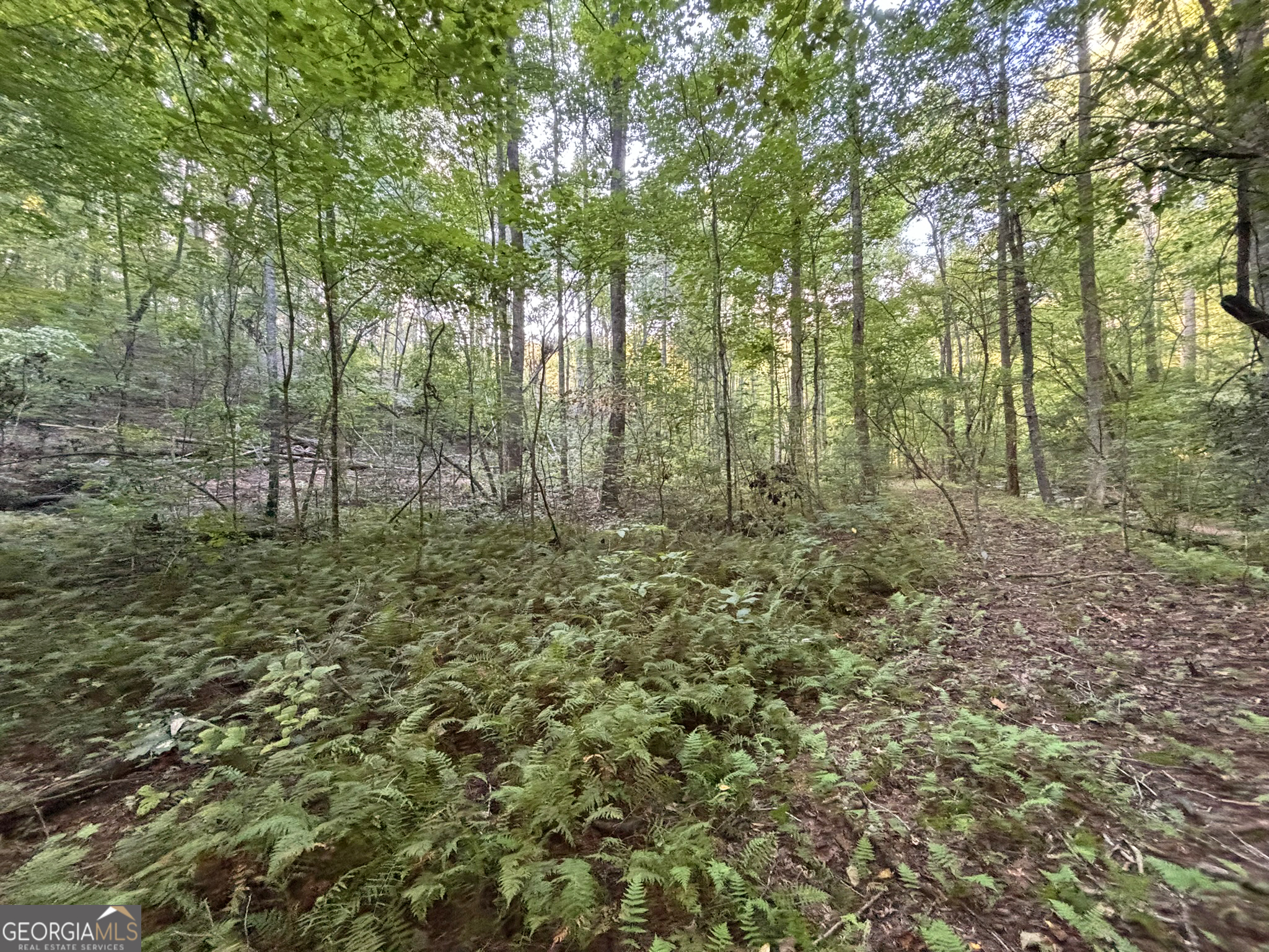 443 Mt Springer Road Ellijay, GA 30540 - Photo 4 of 34