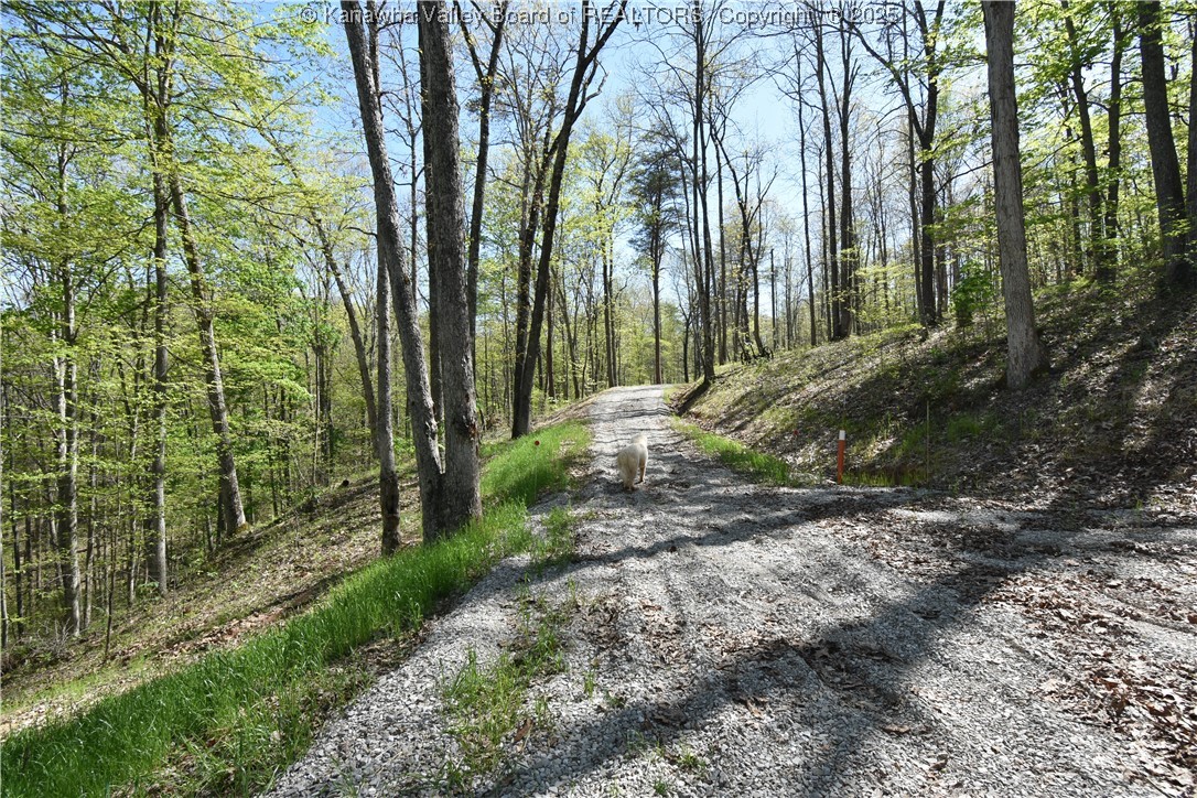 1193 Destiny Road Leon, WV 25123 - Photo 34 of 36 Gallery Image 34