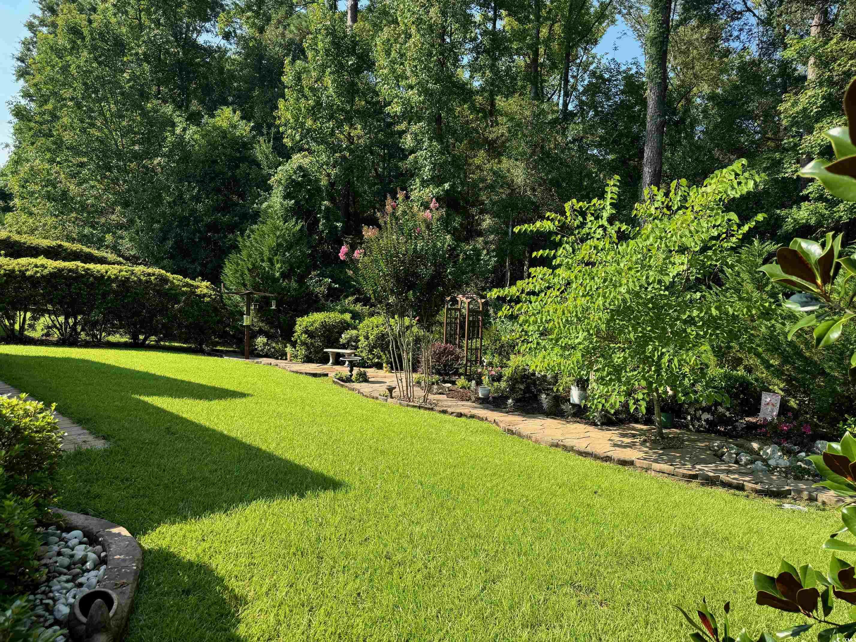 1592 Buckingham Avenue Myrtle Beach, SC 29577 - Photo 26 of 37 View of yard