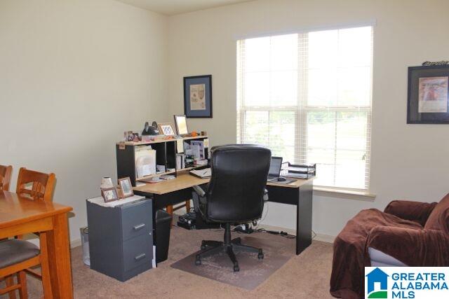5055 Baxter Road Springville, AL 35146 - Photo 33 of 45