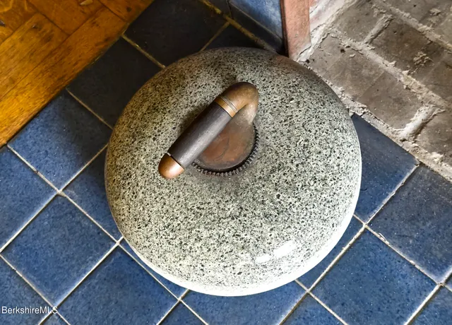a view of a big yard with potted plants and large trees